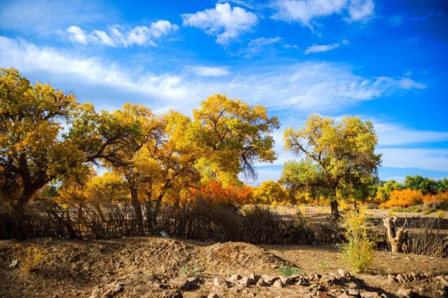 国庆川西环线自驾3-4天及费用,西安国庆出发7天自驾带娃游路线