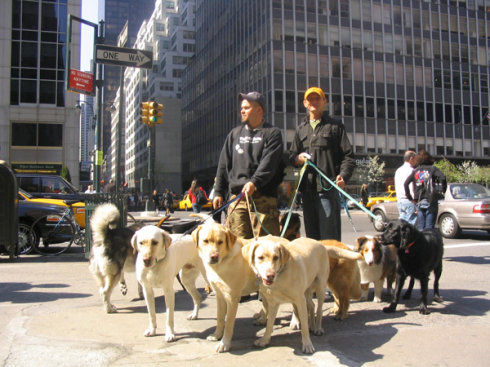 最小众的职业,有哪些不起眼的职业