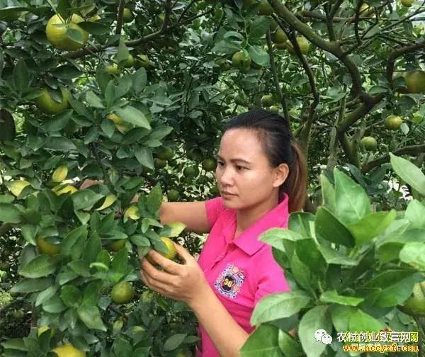 致富|拍农村短视频成“网红”,他们做农产品电商月入过万元