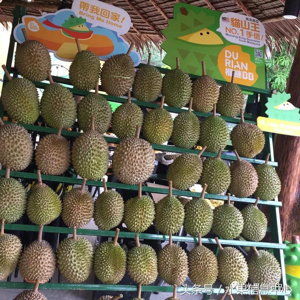 从榴莲代购起家，到64个实体销售点，他势要打造一个榴莲王国