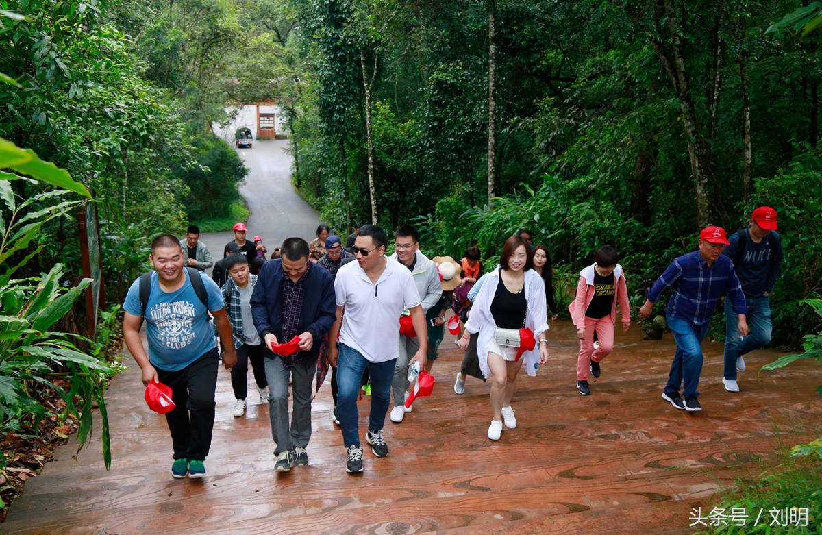蚂蚁旅游专线云南之旅,蚂蚁旅游行
