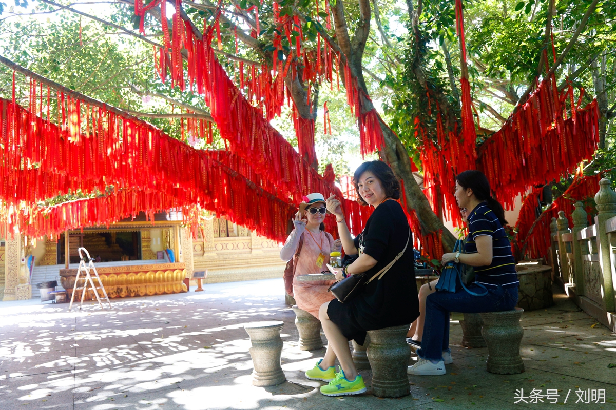 蚂蚁旅游专线云南之旅,蚂蚁旅游行