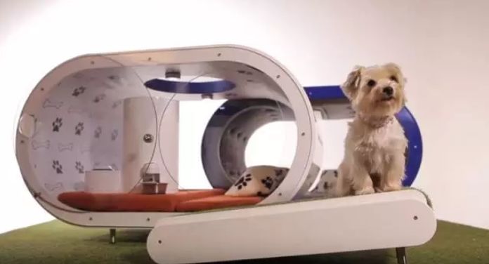 长假在即，铲屎官不敢出门？智能神器来帮你！