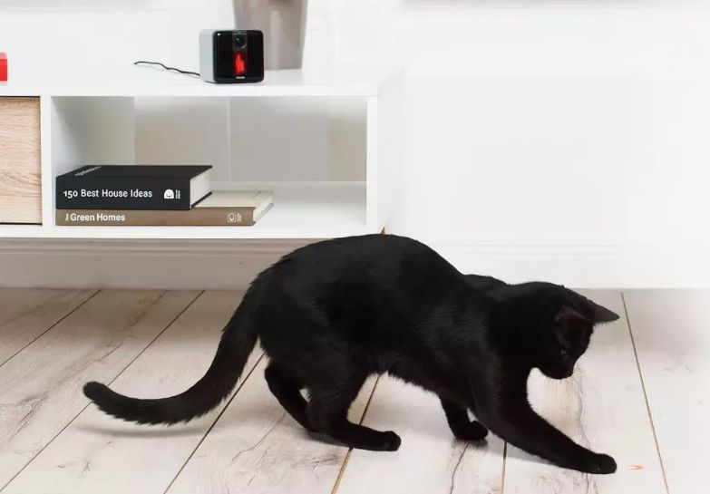 长假在即，铲屎官不敢出门？智能神器来帮你！