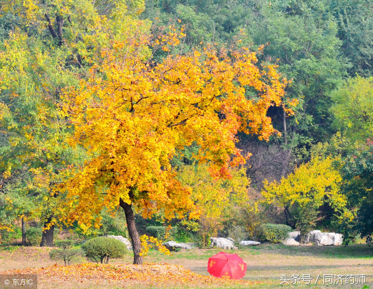 手脚冰凉、皮肤干燥、咳嗽哮喘，你可能没做好这几点