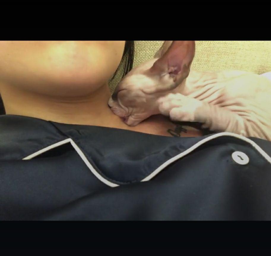 女友脖子上有“草莓”,男友眼看要着急了,这时候猫咪解救了女友