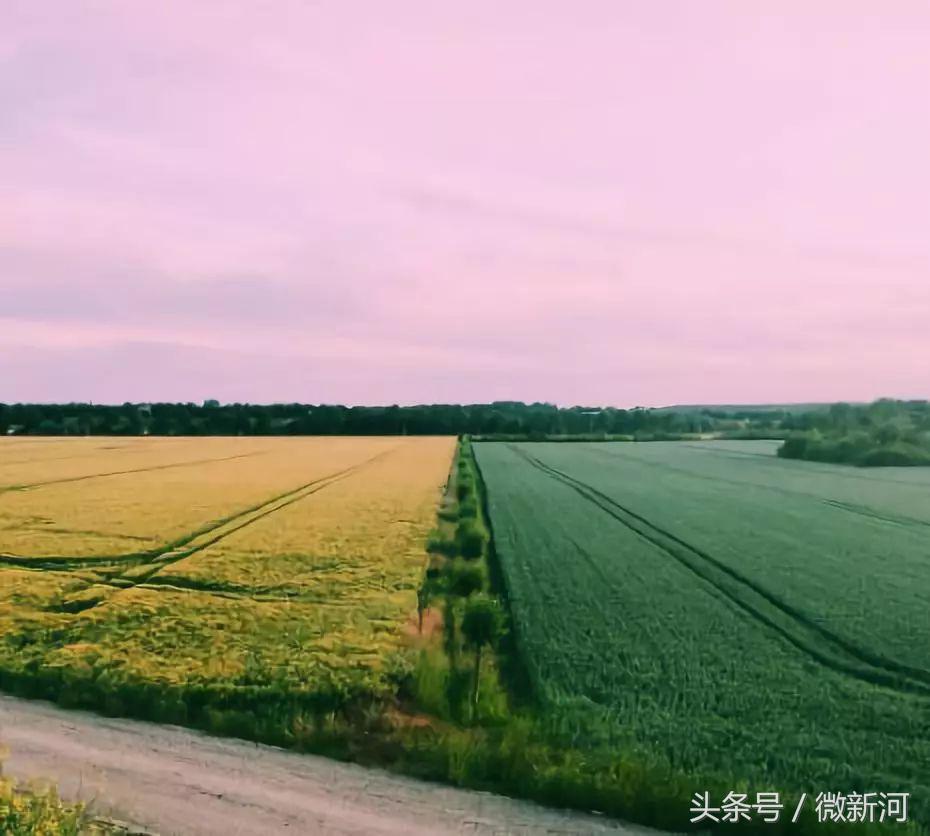 一个人值不值得交往看他的微信名,如何看一个男人的微信名