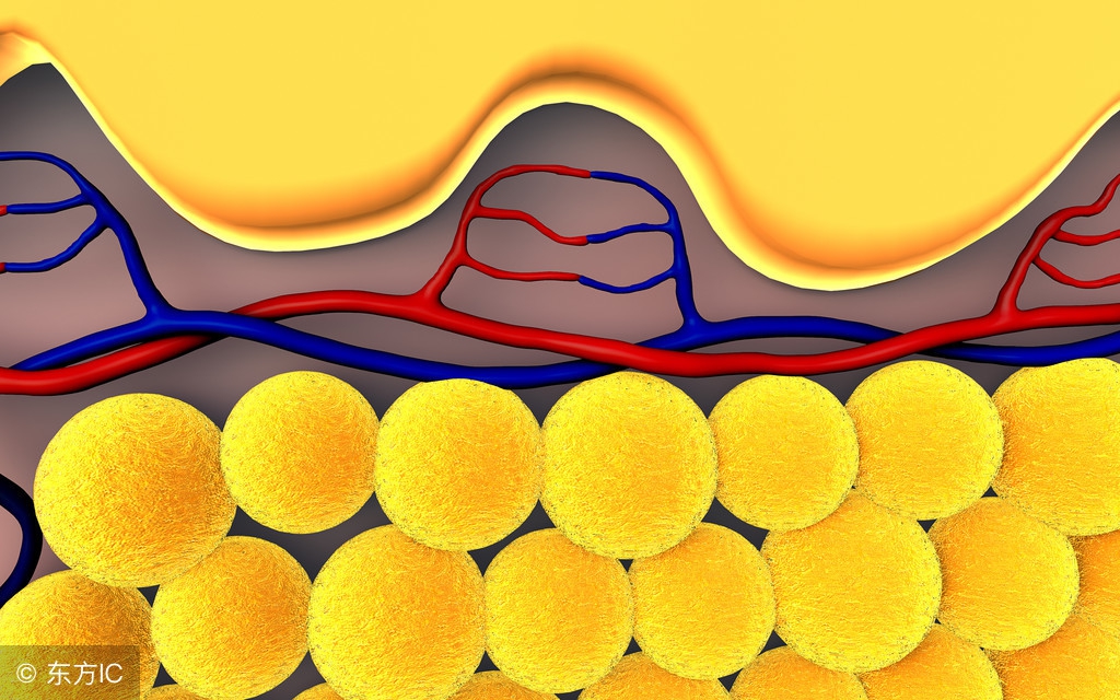 为什么减肥减出糖尿病,低血糖减肥容易减脂吗