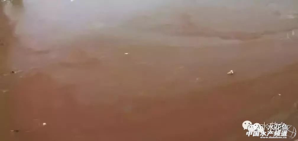 如何辨别好水,怎么分辨好水和坏水