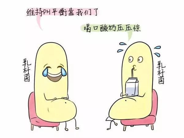仙女们，你每天清洗*处私**还会痒？因为最好的细菌被洗没了