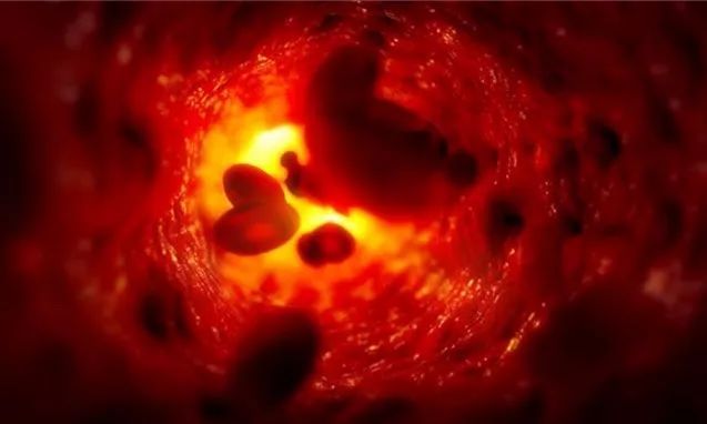 看不见的肥胖更要命！脂肪长在这里最危险，简单一招，快速瘦！