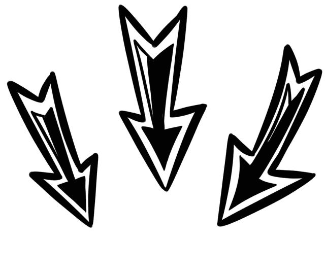 国庆厦门中山公园动物园,国庆打卡厦门