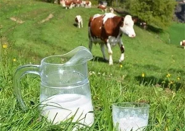 2019年中国奶业质量报告,中国奶业现状如何解决