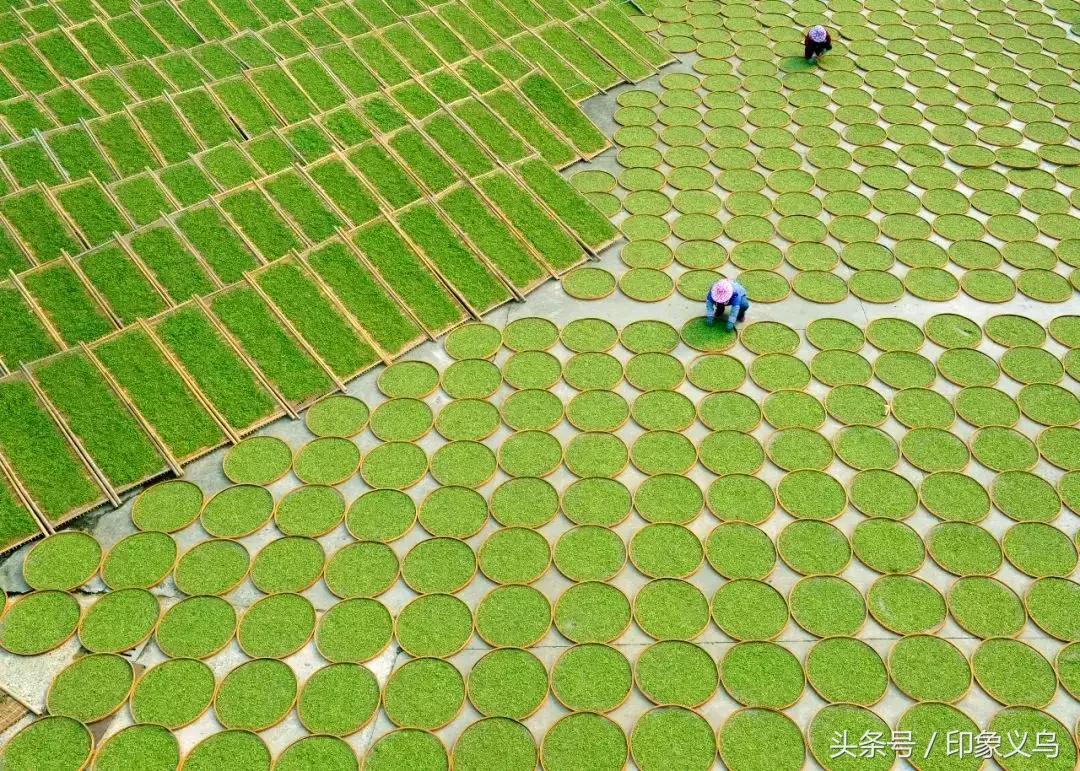 雀巢茶萃冰极柠檬茶好喝吗,珠海北山好喝的茶是什么茶