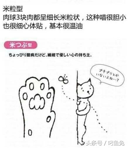 猫咪手相可以看出什么性格 (怎么给猫咪测手相)