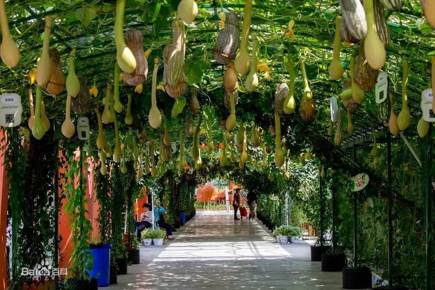 国庆玉林周边玩,国庆假期游玩攻略玉林