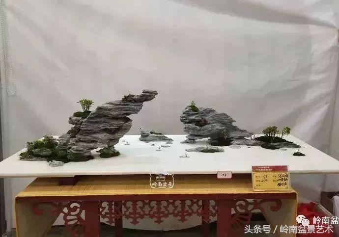 百年精品流苏老桩盆景,精品南天竺盆景
