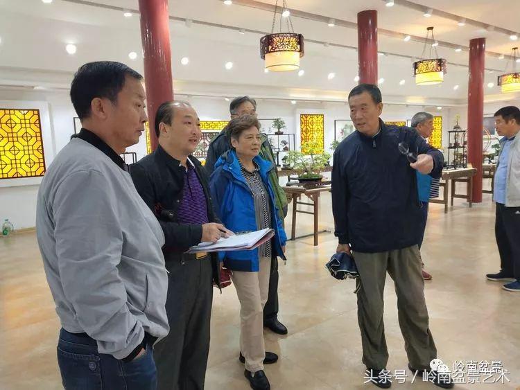 百年精品流苏老桩盆景,精品南天竺盆景