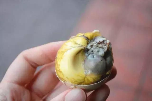 玩在泉州吃在潮汕,玩在江浙吃在四川