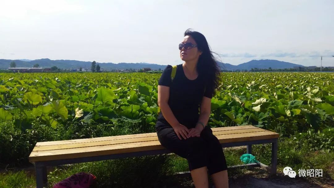 作家看金庸,作家看风景