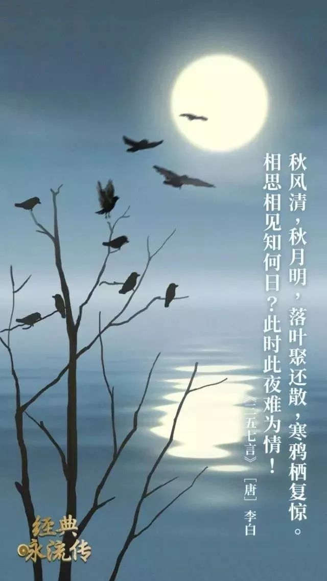 央视诗词歌曲,央视把56首诗词做成歌曲