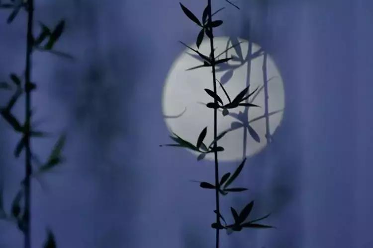 古人睡眠有八忌,古人睡眠的三大禁忌