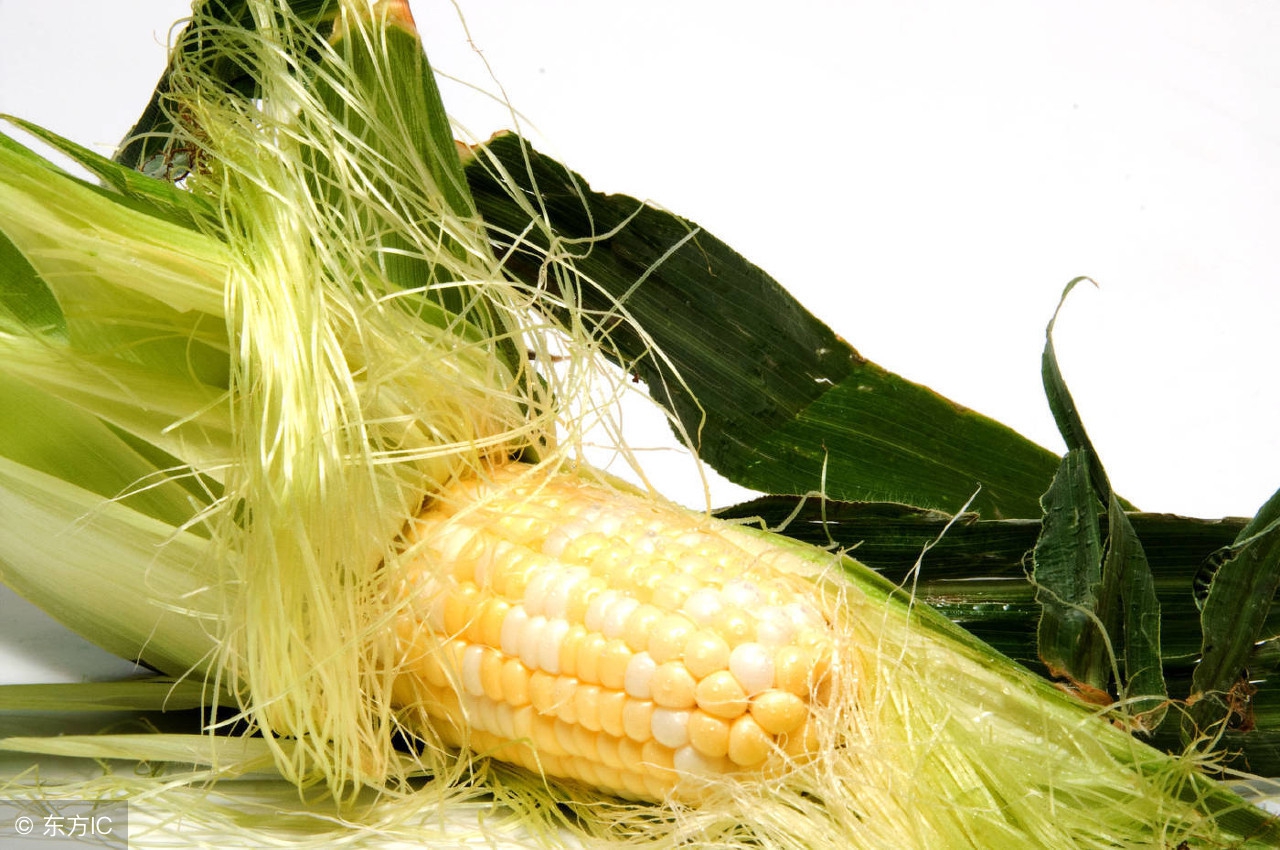 最好的糖尿病中药茶,糖尿病生津止渴的中药