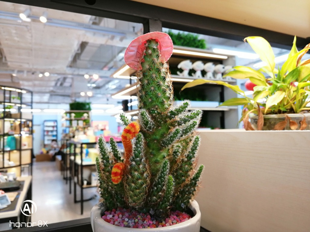 两千年前的荣耀8x评测,荣耀8x全面测评