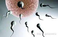 你们一般怎么避孕,你们平常怎样避孕