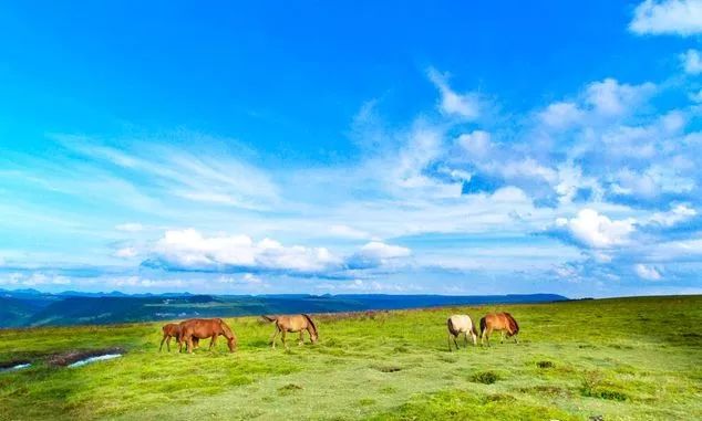 黔南旅游攻略必去景点,黔南州八月初适合游玩地点推荐