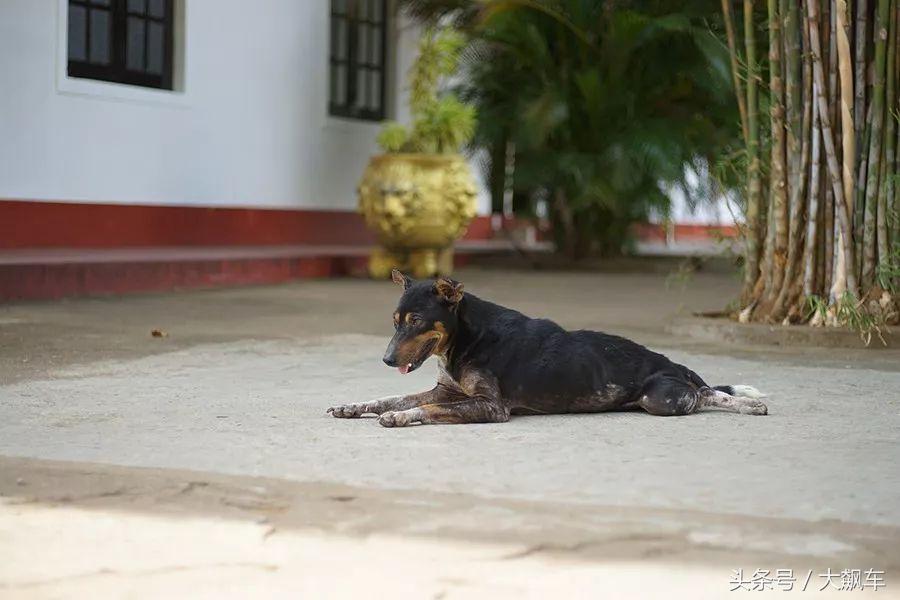 开学“B计划”之，印象斯里兰卡（一）！
