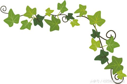 兰州西固美迪幼儿园,兰州市七里河区科迪幼儿园