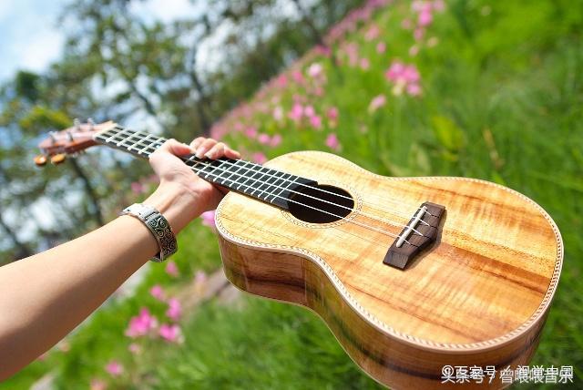 零基础学尤克里里可以看简谱吗,初学尤克里里每天必练的十个动作