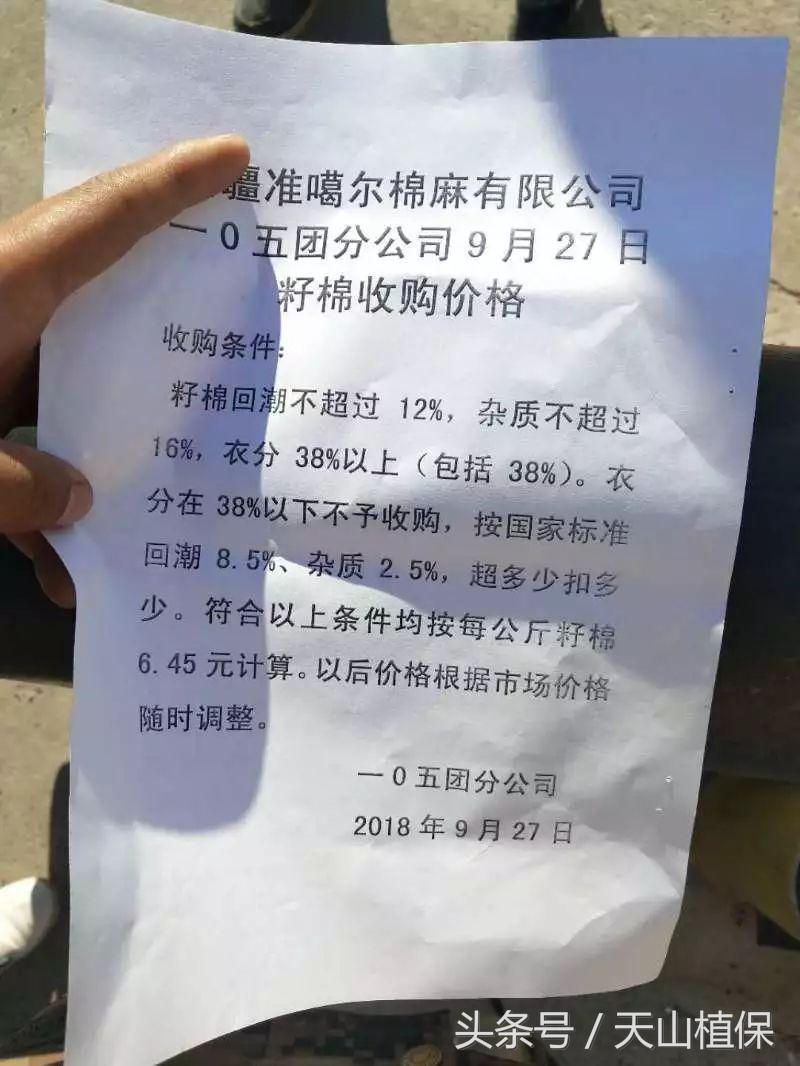 2022年籽棉目前价格,南北疆籽棉收购价格表