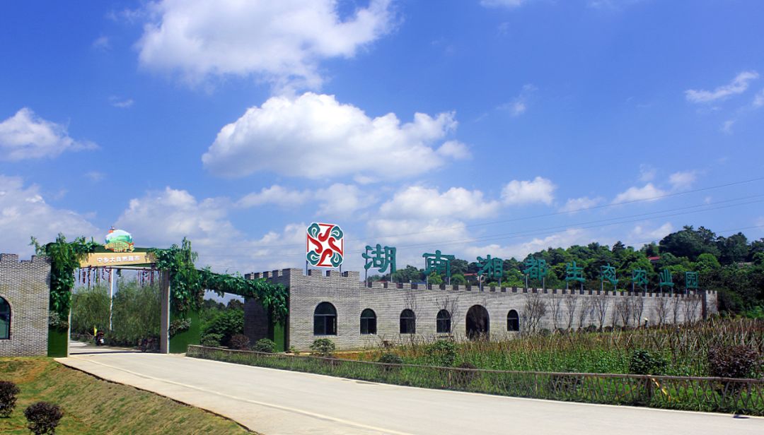 国庆黄金周旅行,国庆不出远门也可以心情美美哒