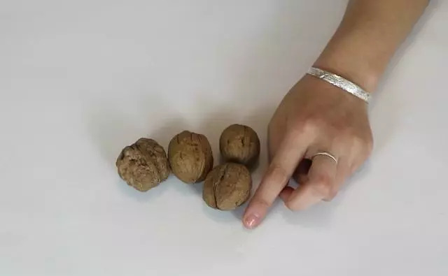 核桃打下来不开用啥办法,核桃打不开夹子