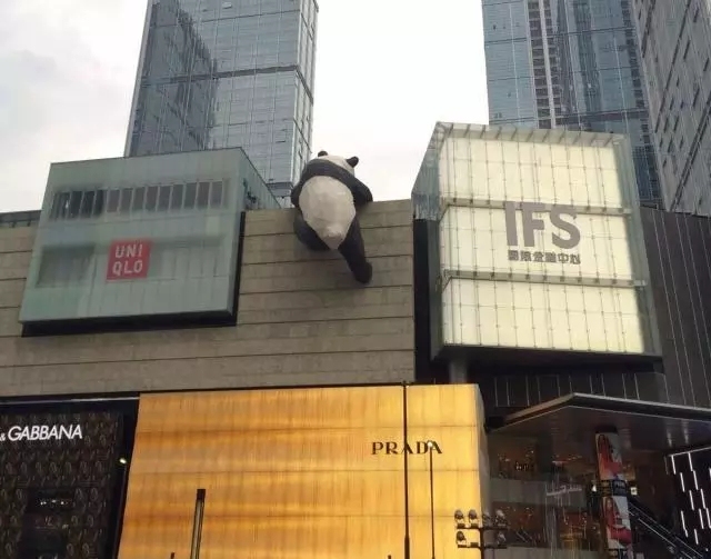 上海浦东新区旅游攻略自由行,上海苏州杭州嘉兴乌镇旅游攻略