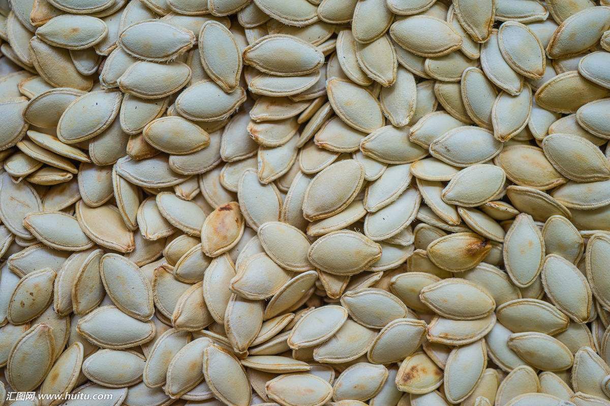 南瓜子皮有药用价值吗,浮南瓜子的药用价值