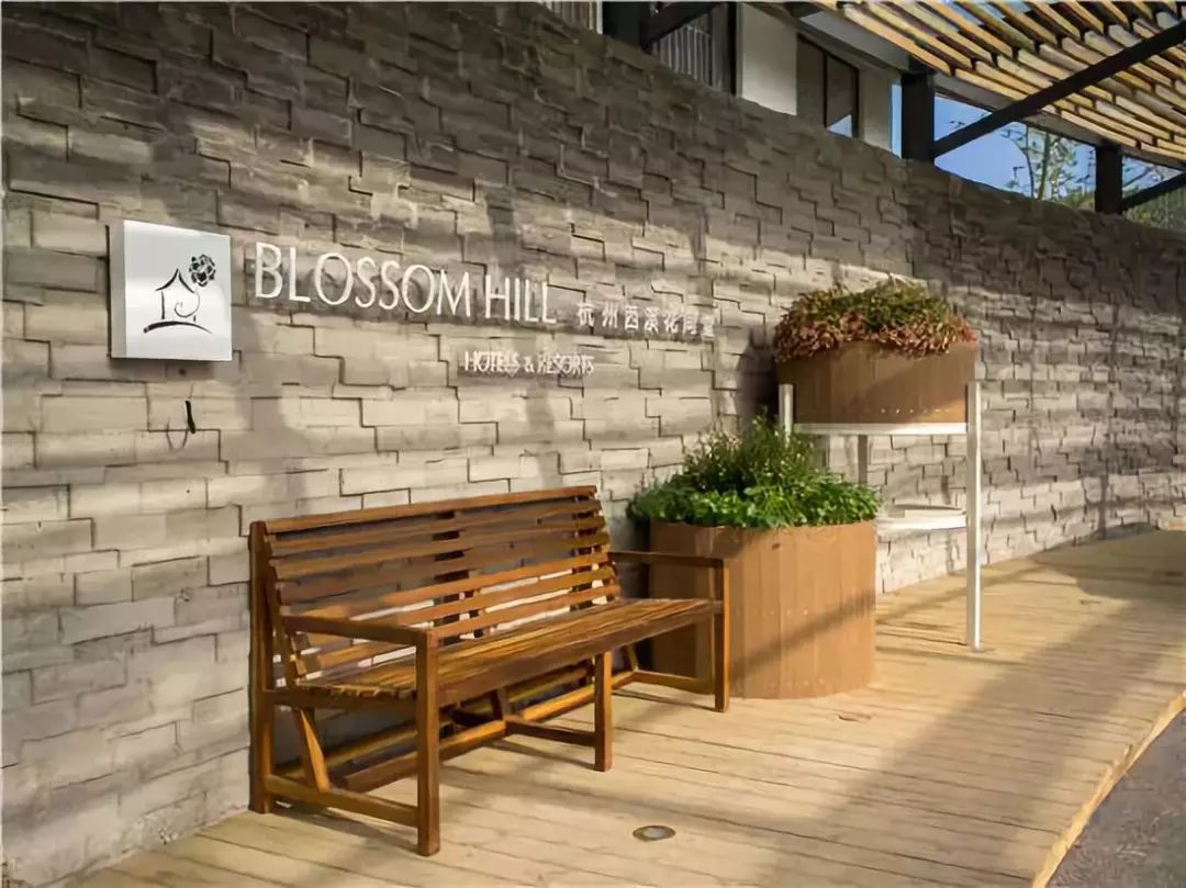 杭州浙大玉泉校区能做饭的民宿,杭州绝美的10间民宿