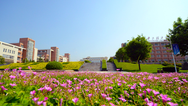 濂崇鏁欐巿璁插骇,濂崇鏁欐巿