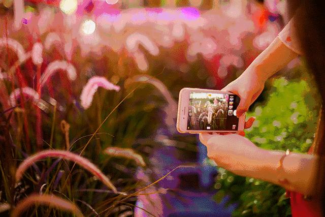 港真！劝你国庆千万别离开广州！因为……