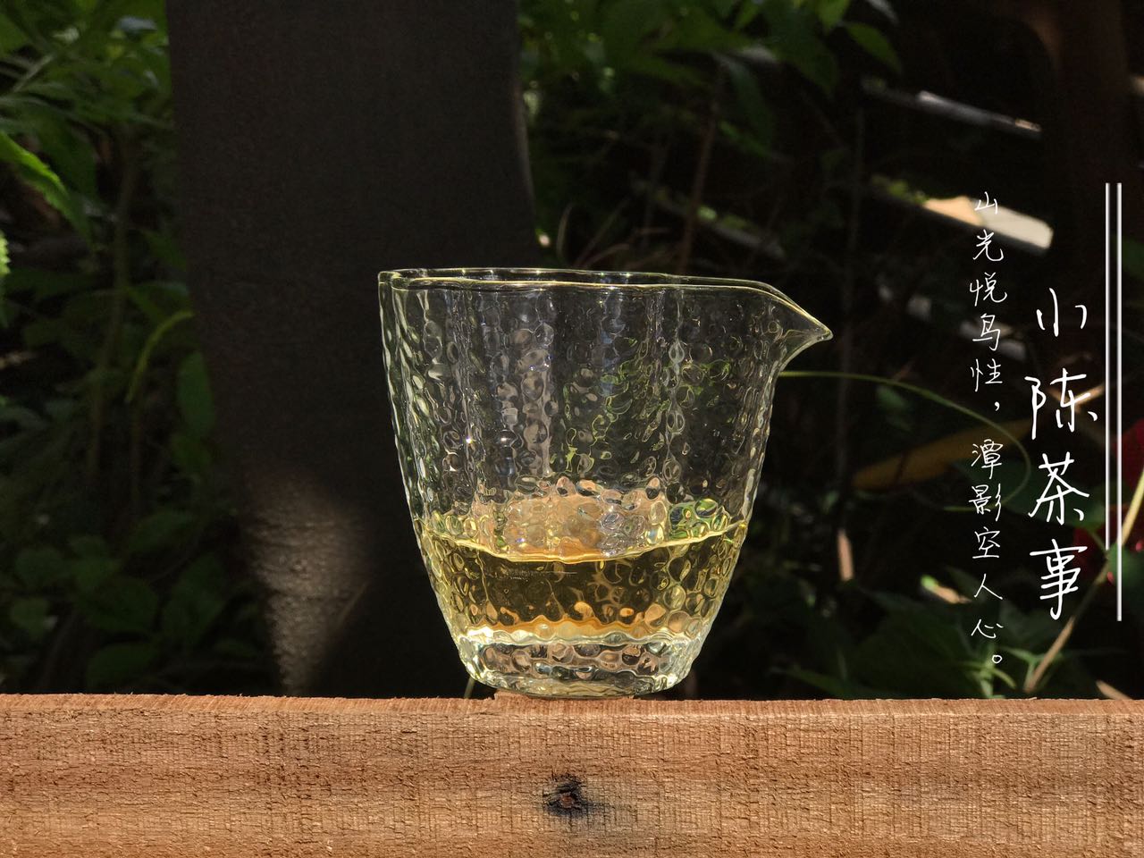 什么是白茶这三点你真的弄懂了吗,什么是白茶的品质特点