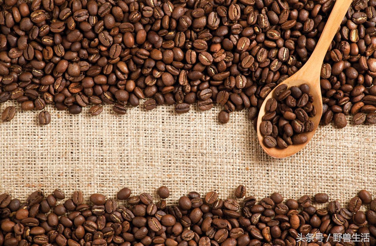 大蒜片一天吃多少最好,大蒜的保健吃法和注意点