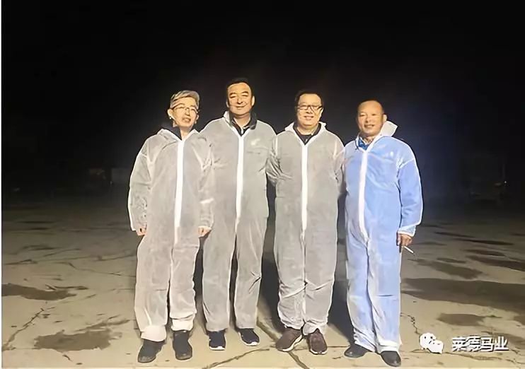 242匹新西兰优骏飞抵，莱德进口马数量与质量稳居全国同行第一！