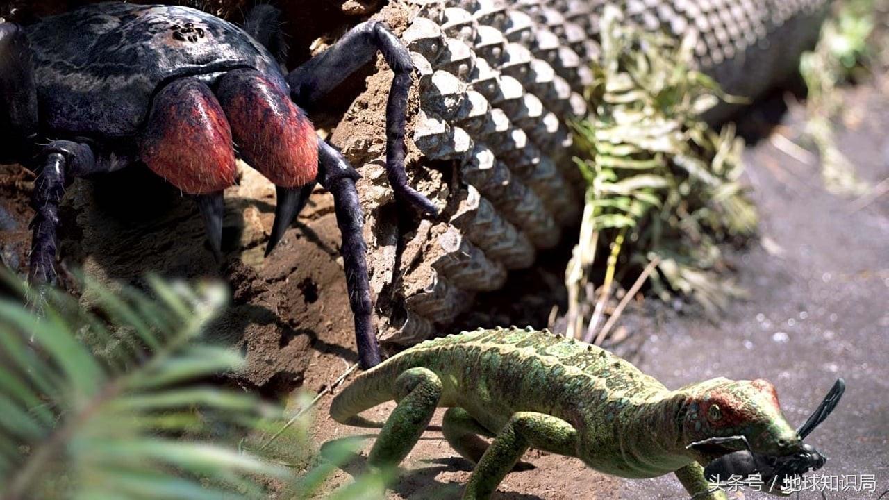 蜻蜓比盆大,蜘蛛脸上挂,远古巨虫要称霸——可以!地球知识局
