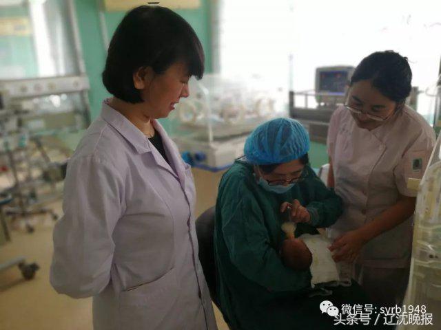 奇迹！出生时仅1.17斤！沈阳这位极早早产宝宝就要出院了！