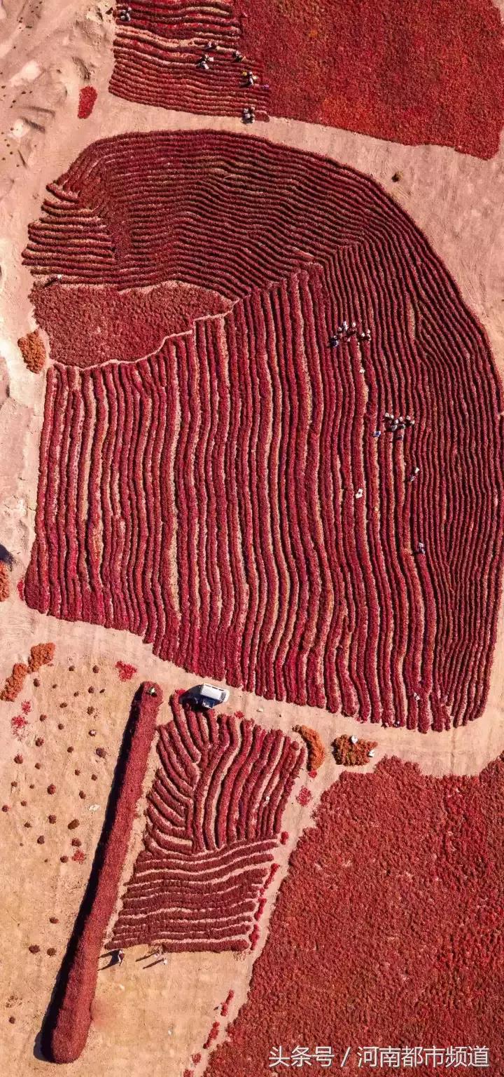 什么是中国,什么是中国特色社会主义