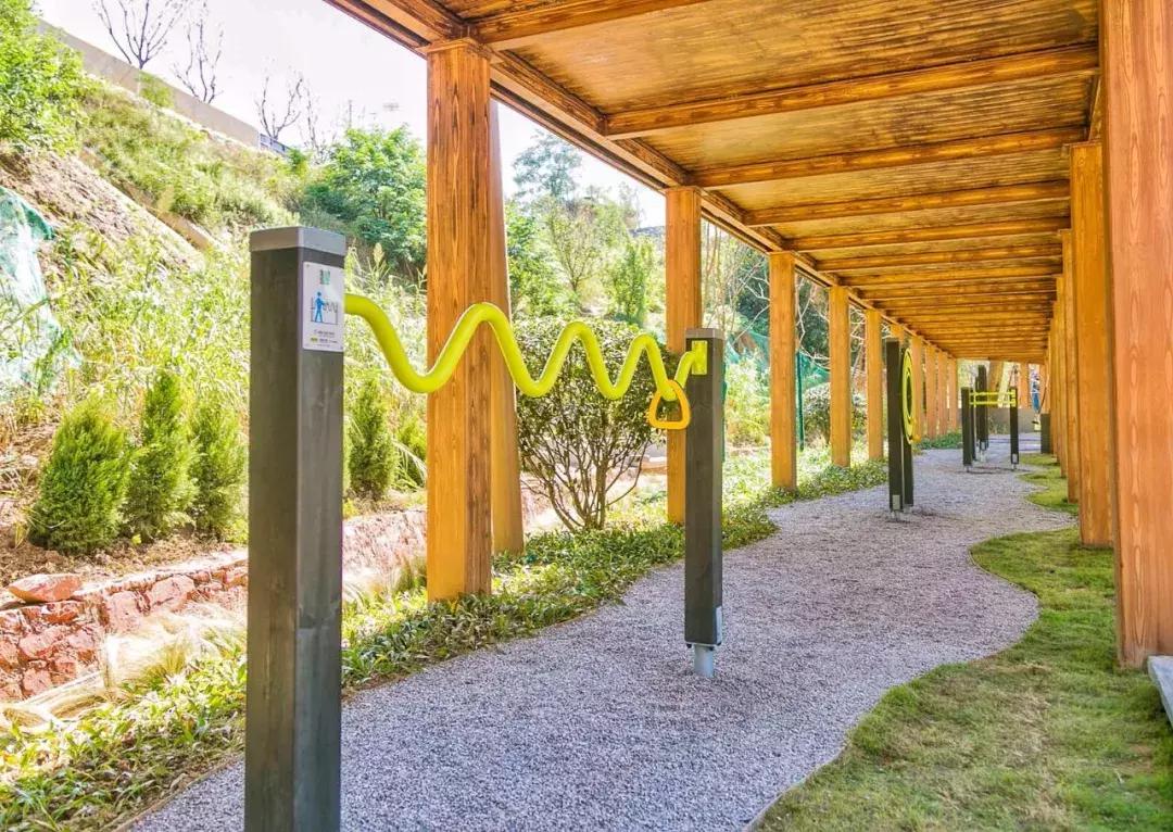 郑州足球小镇2019,郑州足球小镇有真草足球场吗