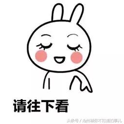 公交线路新开,市区8条公交线路运营时间调整