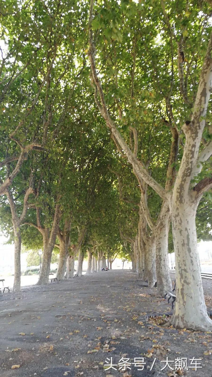 西班牙法国自驾游攻略,法国西班牙旅游路线推荐